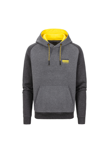 Sudadera Audi con capucha quattro gris, hombre