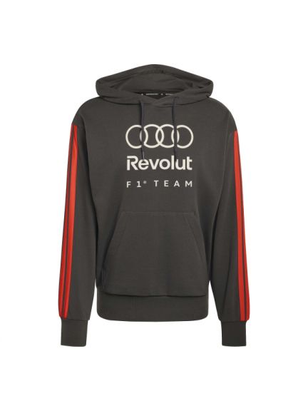 Sudadera con capucha Audi F1, gris, hombre
