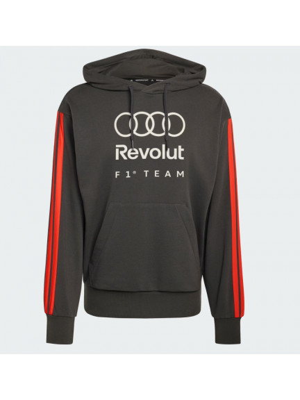 Sudadera con capucha Audi F1, gris, hombre