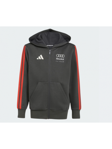 Sudadera con capucha Audi F1, gris, niño