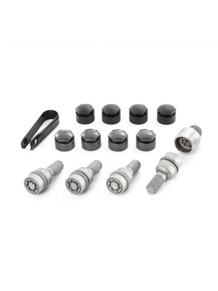 Tornillos de rueda con protección antirrobo