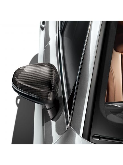 Carcasa del retrovisor exterior