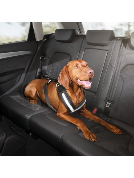 Correa de seguridad para perros